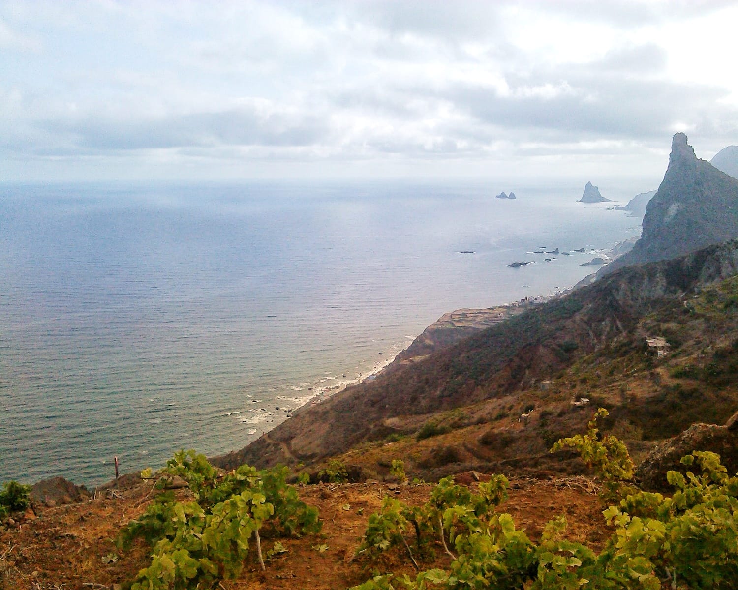 Canarias paraíso vítivinicola. 